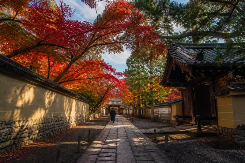 東福寺秋日參道與楓紅