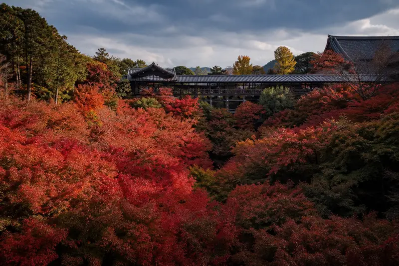 京都東福寺賞楓全攻略：通天橋的紅葉雲海，為什麼是京都秋天第一名所