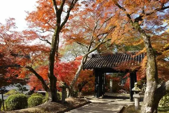福岡秋月城跡黑門與紅葉示意