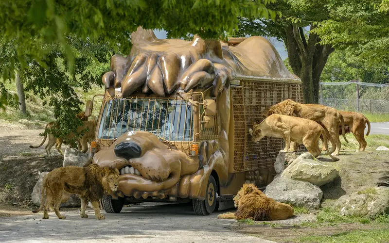 【九州自然動物園攻略】叢林巴士餵獅子＋近距離看野生動物全指南