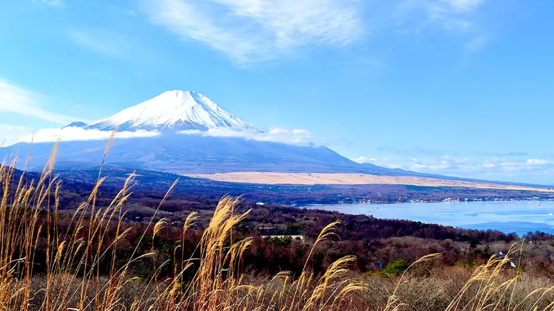 山中湖パノラマ台俯瞰湖景與富士全景示意