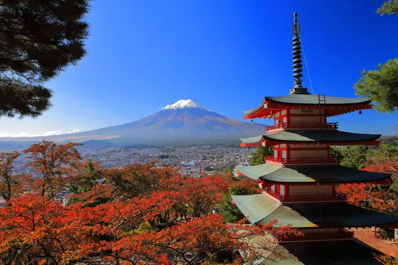 新倉山淺間公園：五重塔忠靈塔、紅葉與富士山