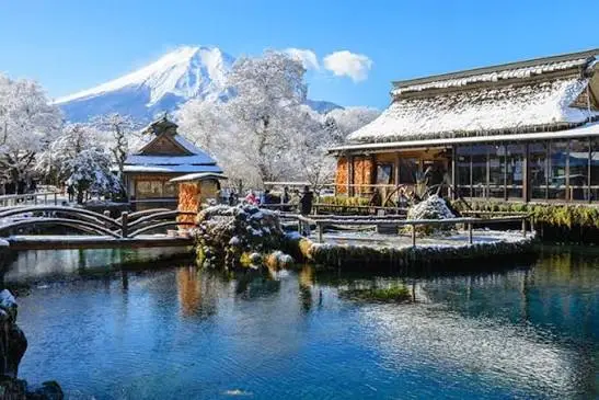 忍野八海冬季雪景與清澈湧泉、富士背景