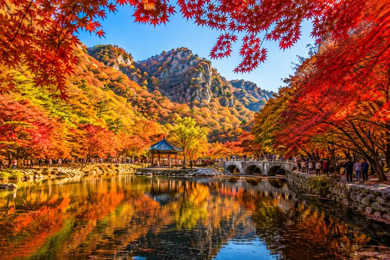 韓國內藏山賞楓攻略｜湖南金剛山、全韓最晚見頃、纜車與交通一次看
