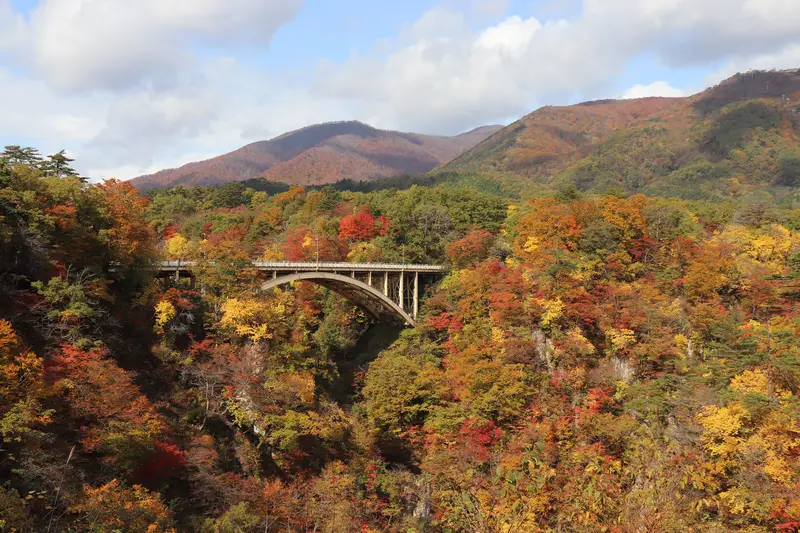 站在見晴台（みはらし台），陸羽東線列車正穿過紅葉包圍的鐵橋