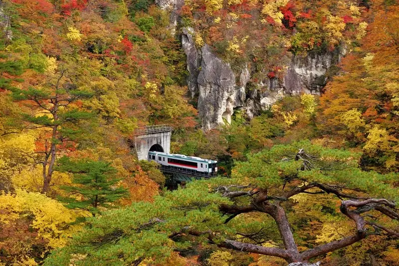 站在大深沢橋上俯瞰谷底，陸羽東線列車正穿過紅葉包圍的鐵橋