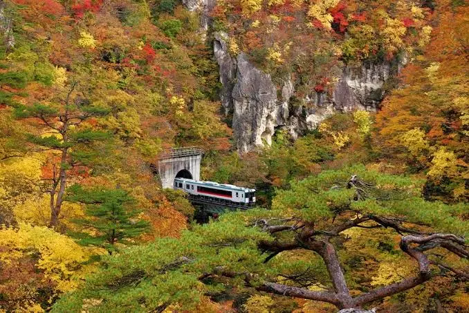鳴子峽紅葉：宮城第一名景的拱橋與火車穿谷，什麼時候去、怎麼拍、怎麼避開塞車