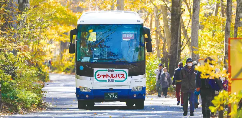 奧入瀨溪流步道旁的接送巴士