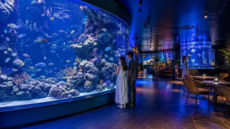 沖繩 DMM 水族館室內沉浸式展示空間