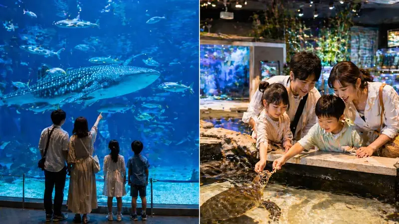 沖繩兩個水族館親子玩法比較情境圖