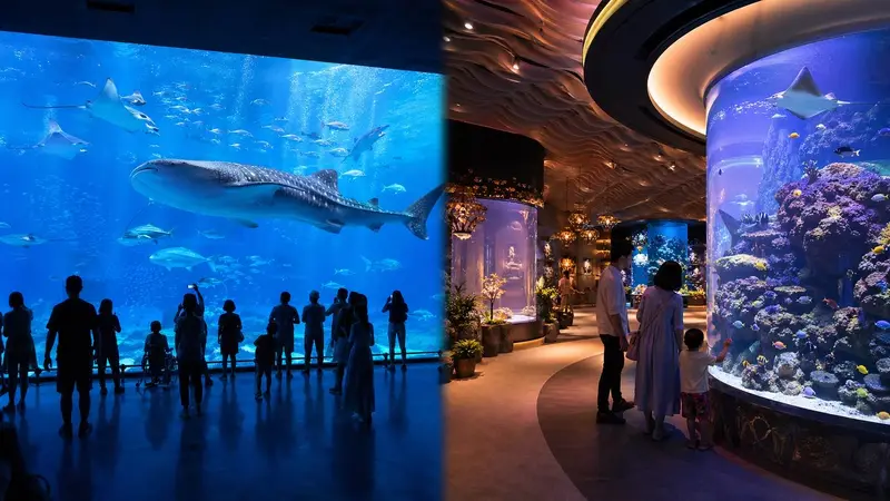 沖繩兩個水族館怎麼選？美麗海水族館 vs DMM 水族館一次看懂
