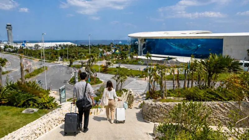 沖繩 DMM 水族館適合機場前後段行程的情境圖