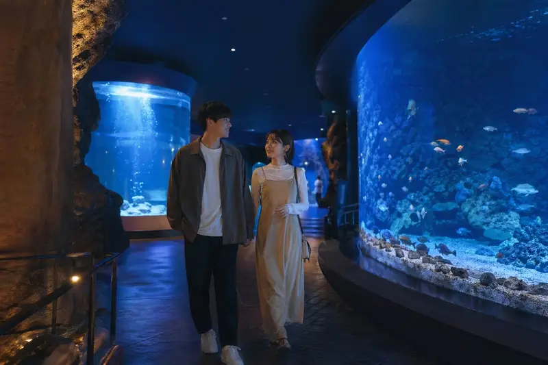 沖繩 DMM 水族館情侶約會氛圍圖