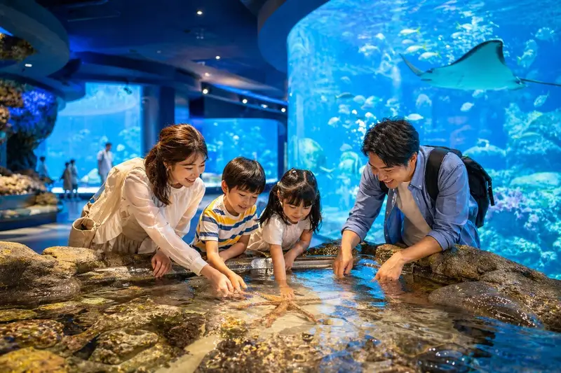 沖繩 DMM 水族館親子互動情境圖
