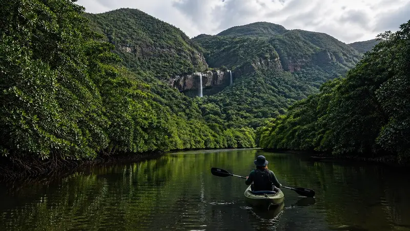 西表島叢林與生態旅行代表圖