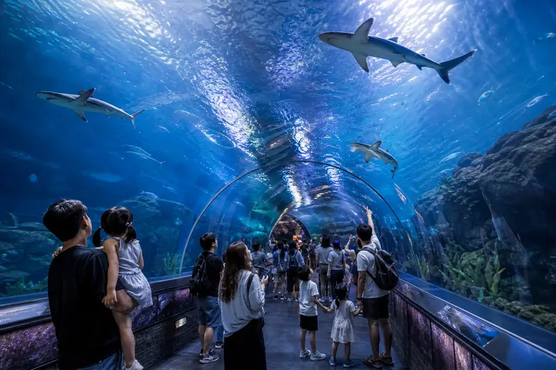 2026 SEA LIFE 釜山水族館攻略｜門票、海底隧道、海雲台親子雨天備案