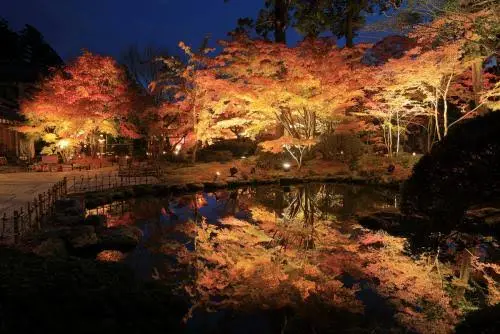 圓通院庭園紅葉夜間點燈與水面倒影