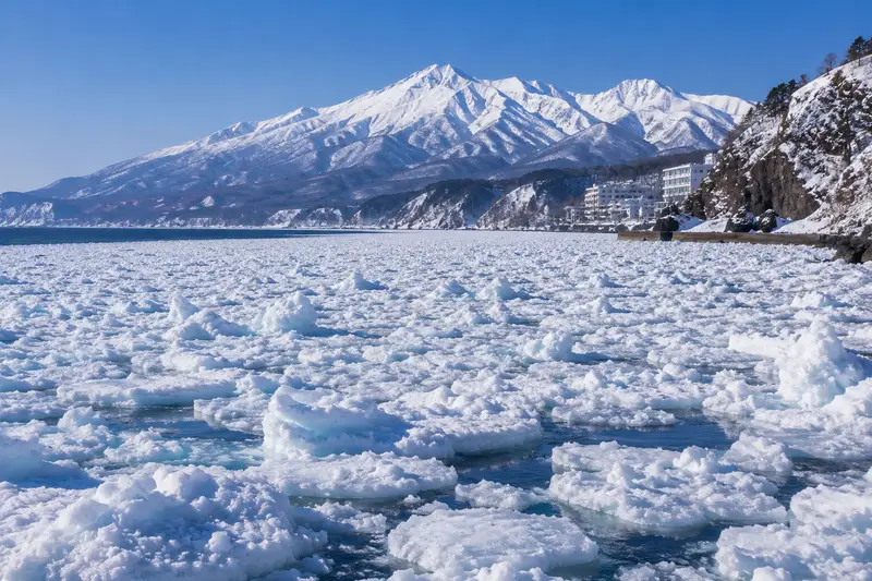 冬季宇登呂海岸整片湧上的流冰，遠方是雪白的知床連峰