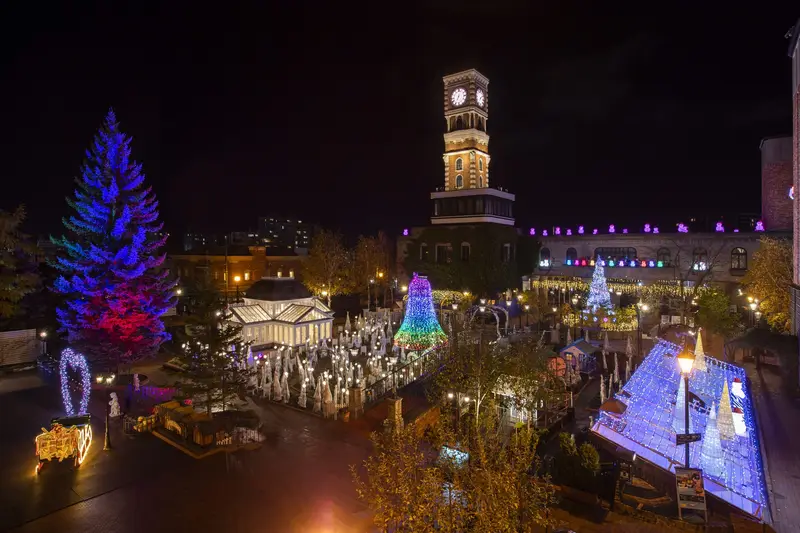白色戀人公園冬季點燈夜景，心形燈飾與巨型聖誕樹