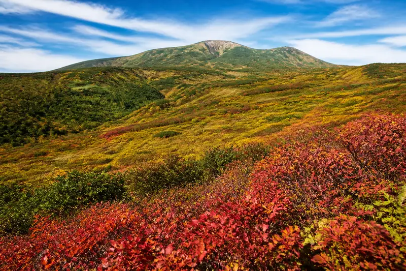 2026白銀週5連休｜東北早紅葉攻略！9月就能追紅葉的幾座山