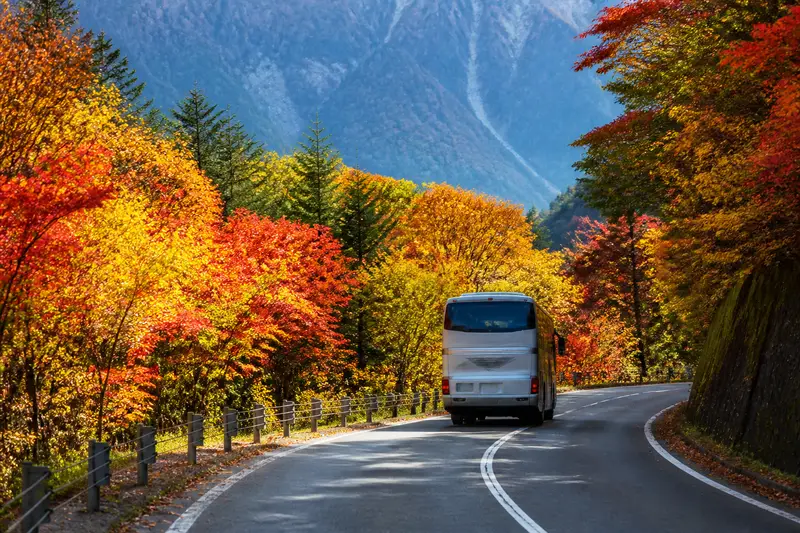 旭川往層雲峽的山區道路，兩旁紅葉林，專車行駛