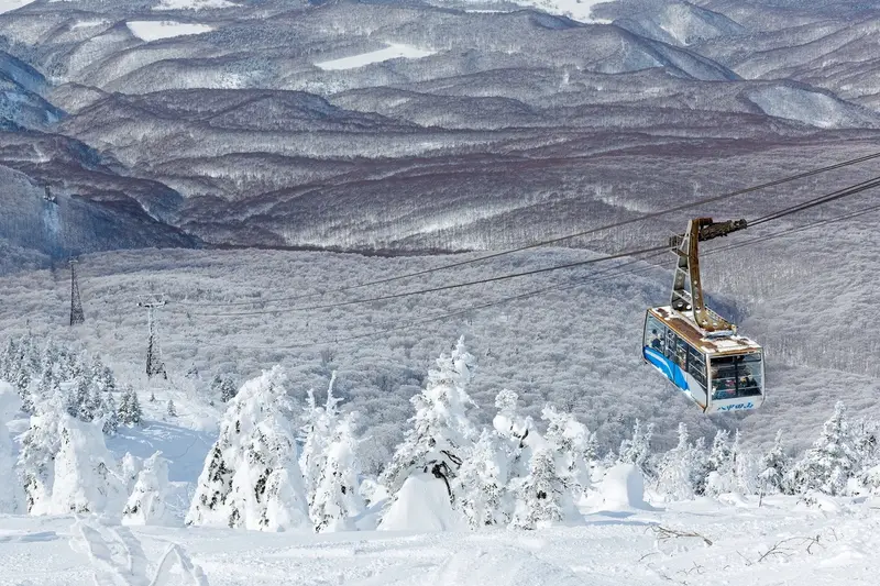 八甲田纜車山頂的樹冰原，整片針葉林被雪冰包覆成雪怪