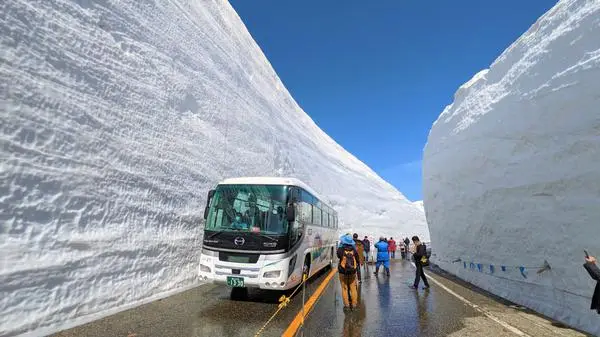 雪之大谷兩側高聳雪牆間行駛的高原巴士