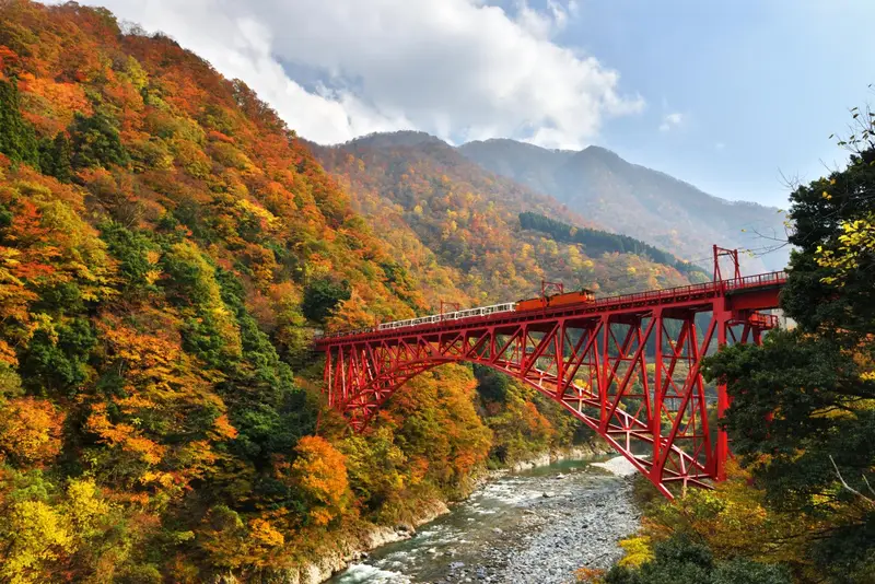 黑部峽谷鐵道橘色小火車駛過朱紅色新山彥橋，下方是碧綠溪谷