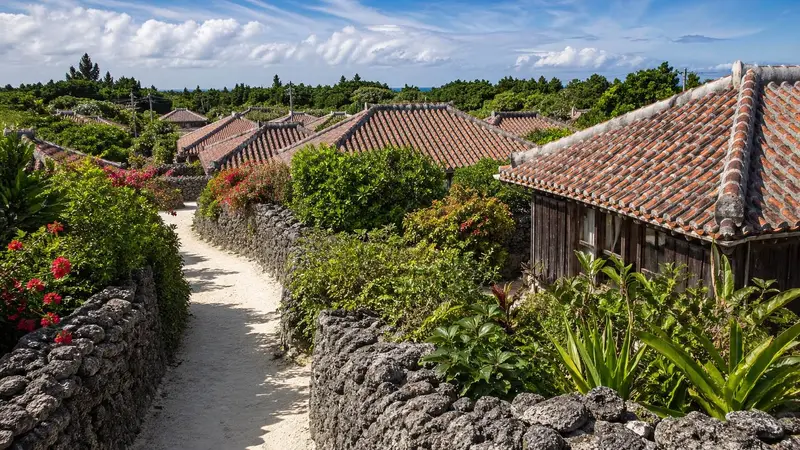 竹富島紅瓦聚落與傳統村落景觀圖