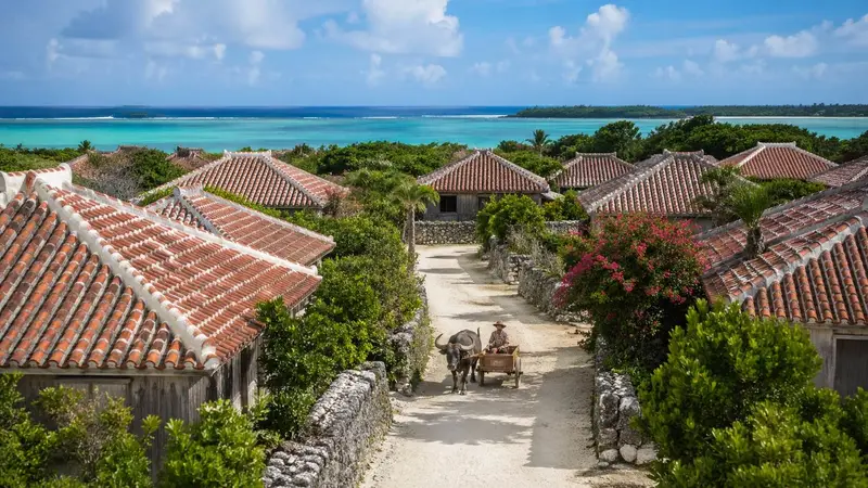 竹富島一日遊怎麼玩？水牛車、紅瓦聚落與慢旅行重點