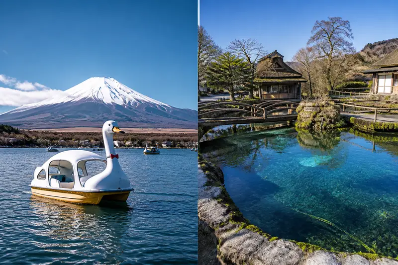 山中湖天鵝船與忍野八海清澈湧泉池