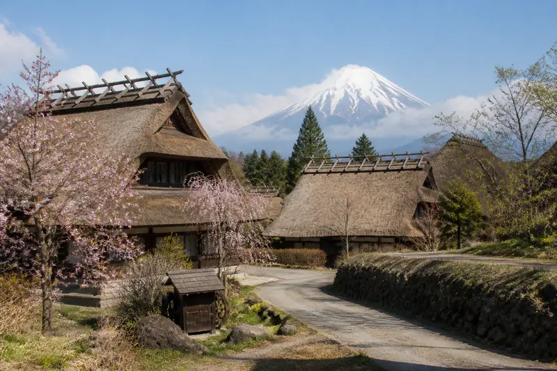 西湖療癒之里根場茅草屋合掌造聚落