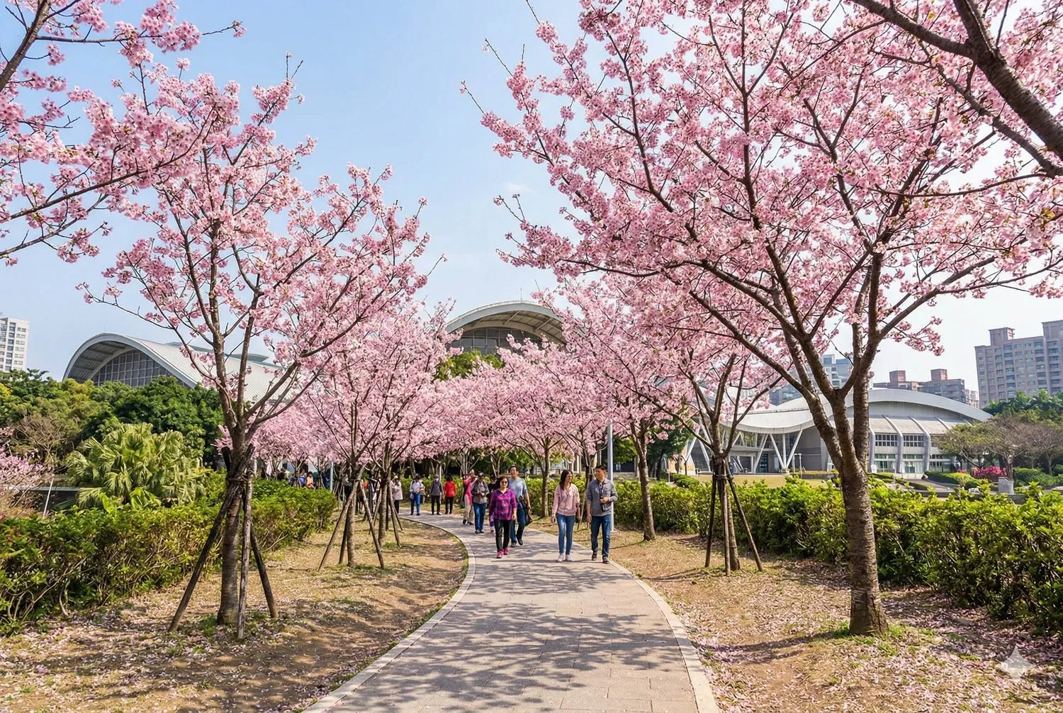 圓山公園蝦夷山櫻