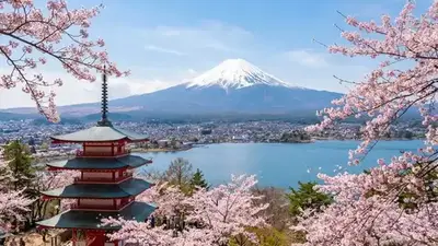 富士山河口湖一日遊