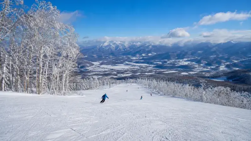 富良野滑雪
