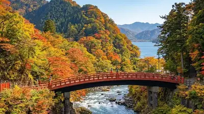 輕井澤・日光五日包車