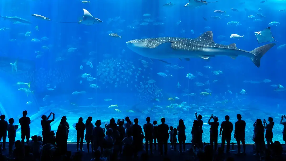 美麗海水族館