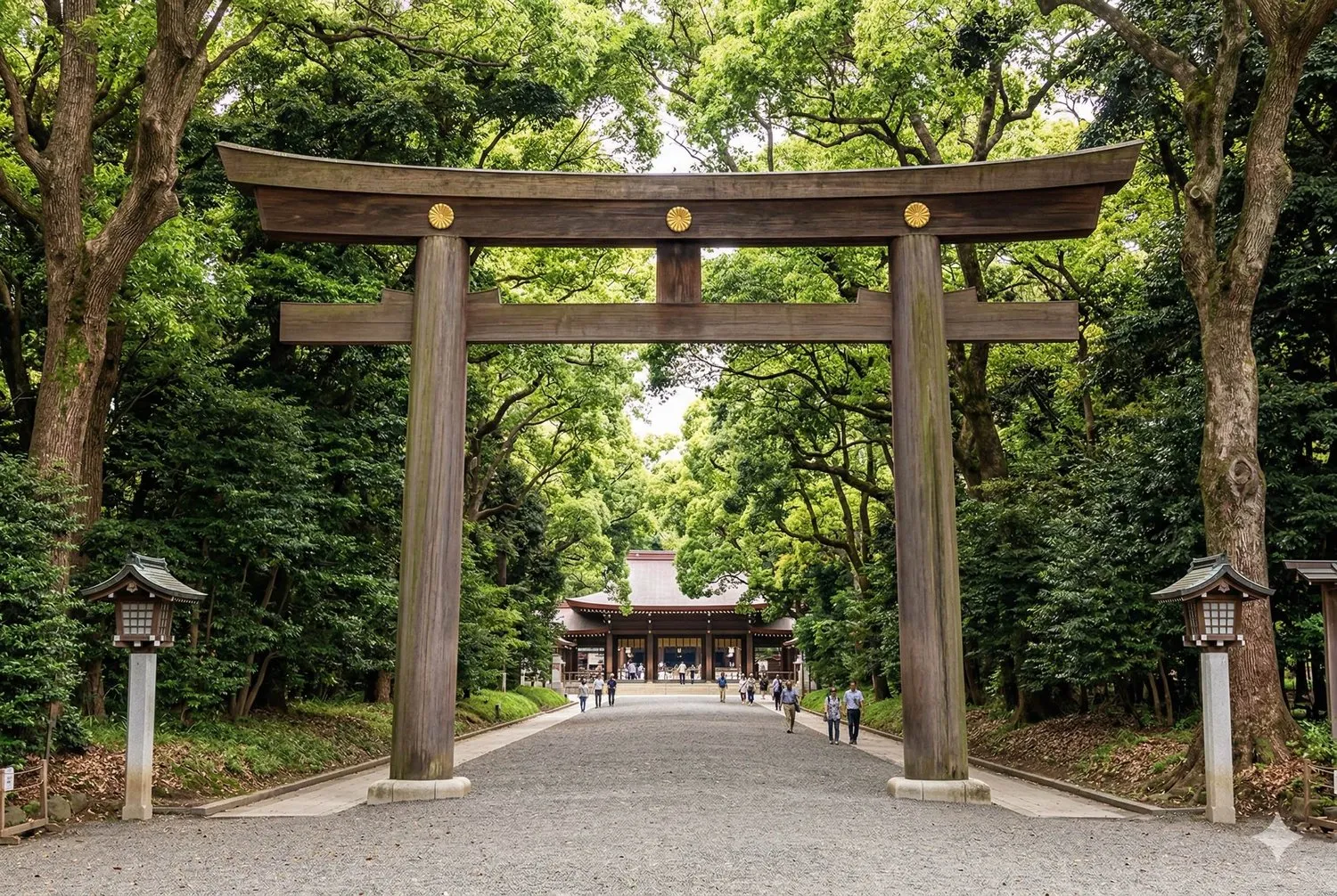 明治神宮鳥居與參道