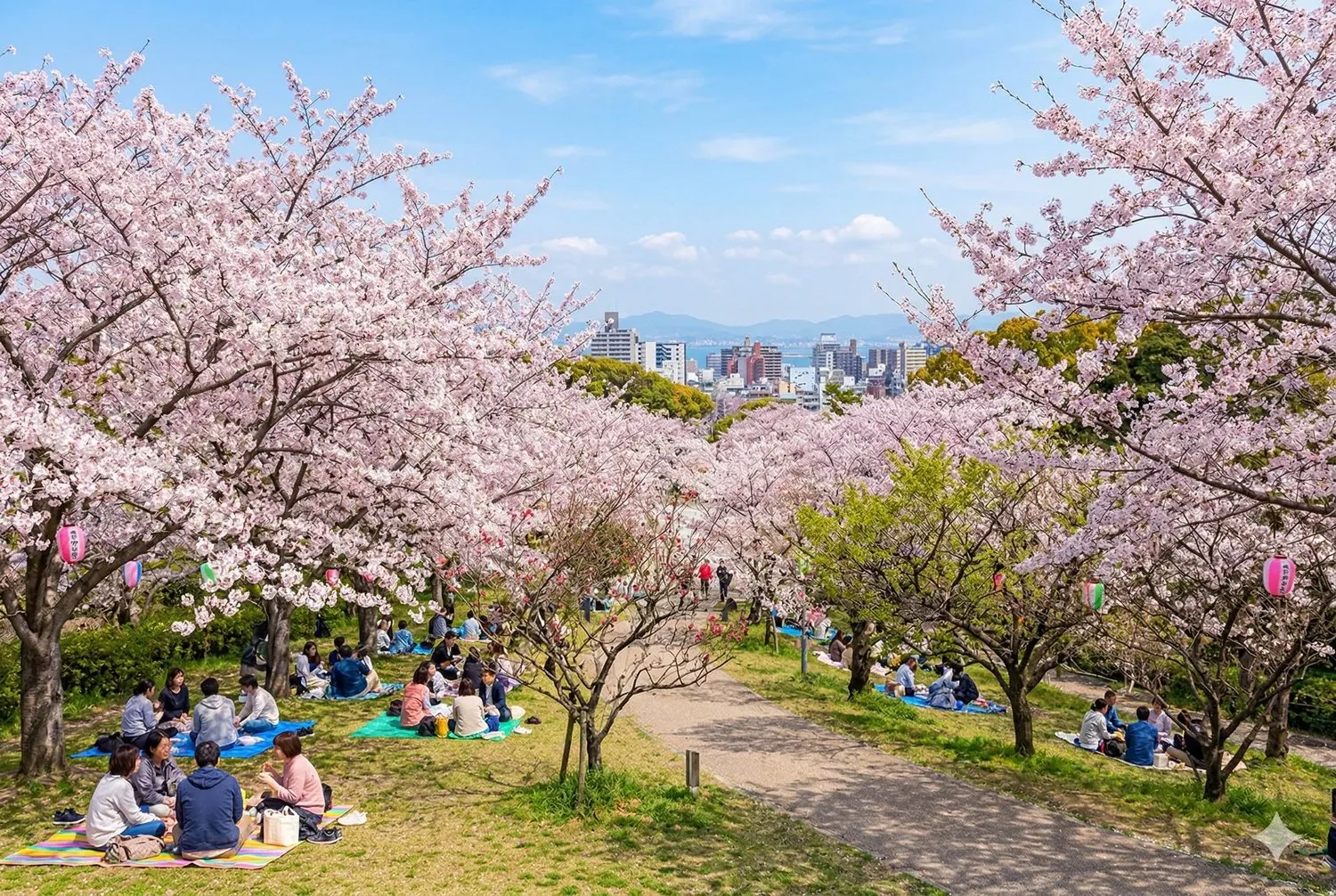 西公園櫻花名所百選
