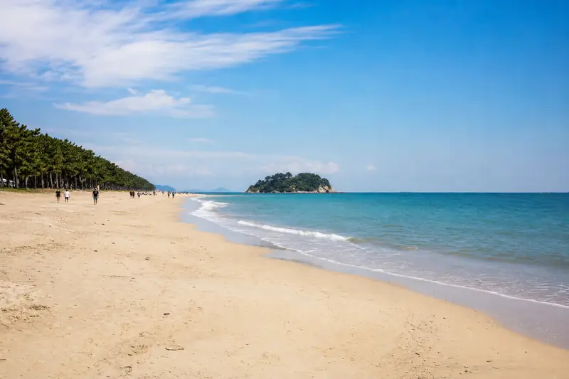 松亭海水浴場白沙灘