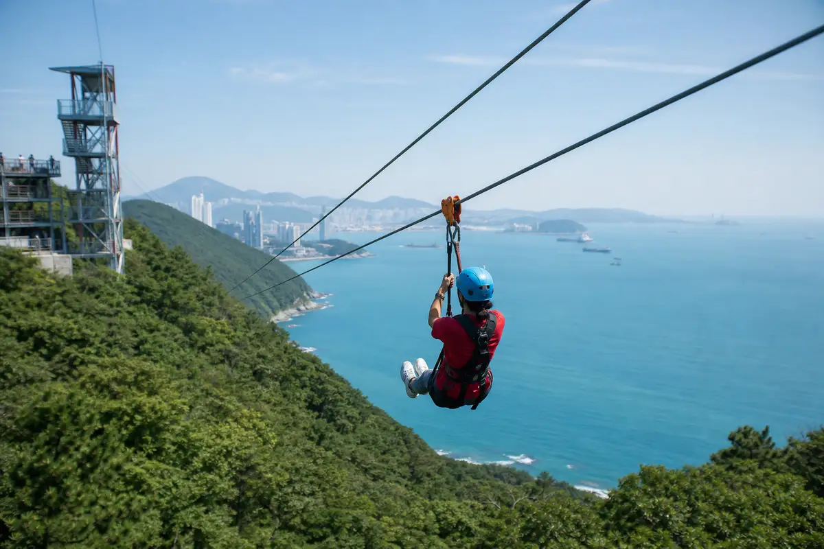 釜山刺激體驗一日包車｜斜坡滑車＋高空飛索 Zipline