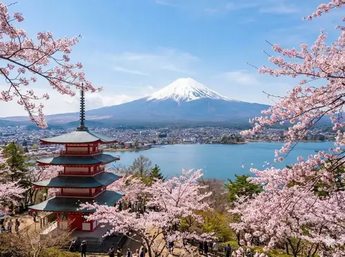 富士山河口湖一日遊
