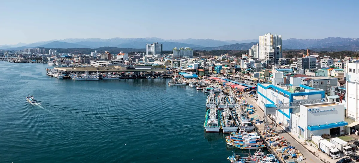 注文津海邊鬼怪拍攝地