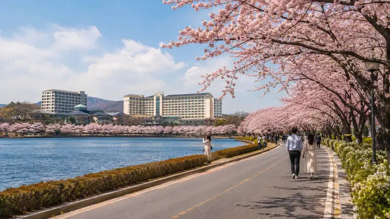 慶州普門湖湖光山色