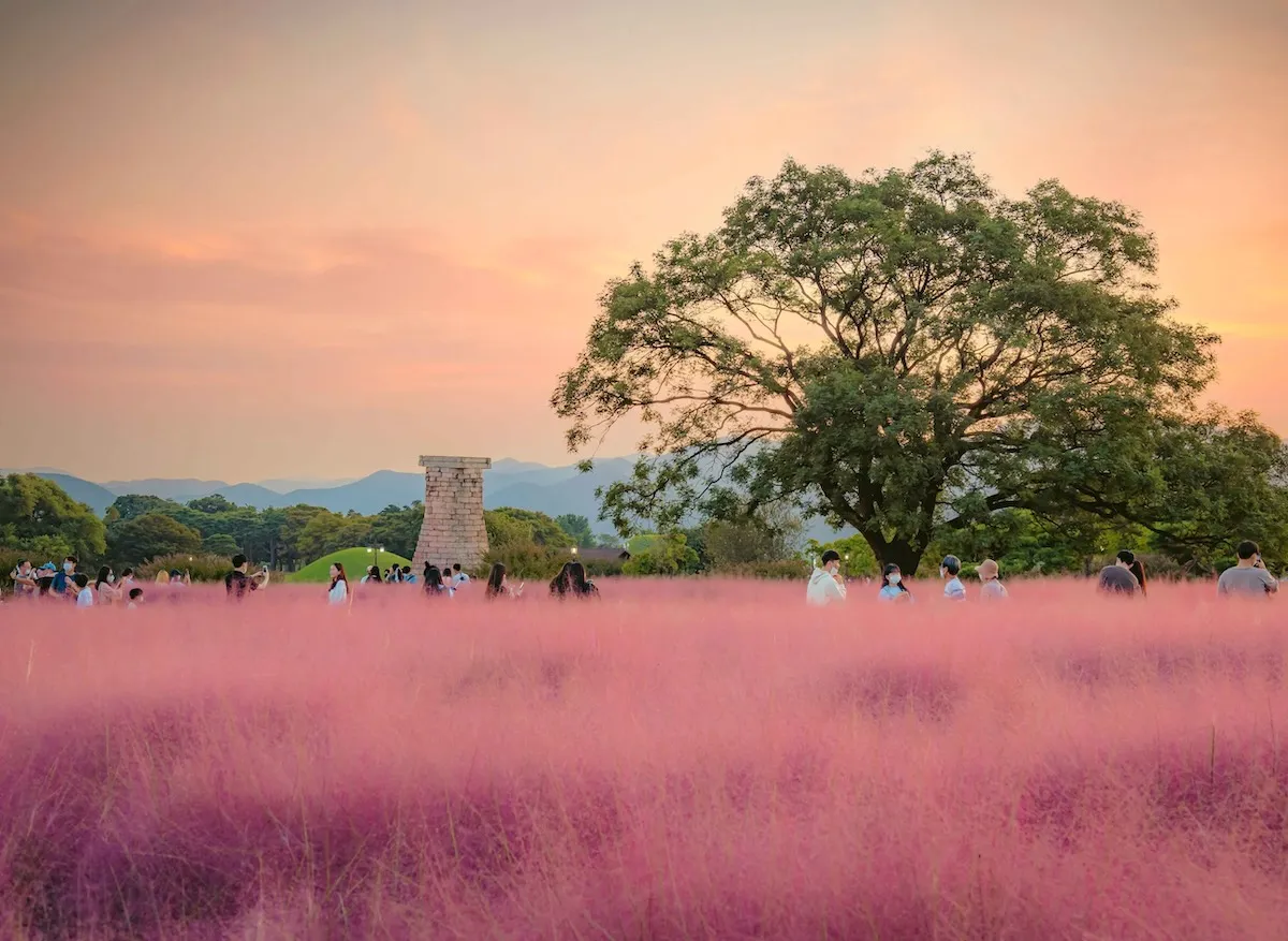 慶州瞻星臺東亞最古老天文觀測台