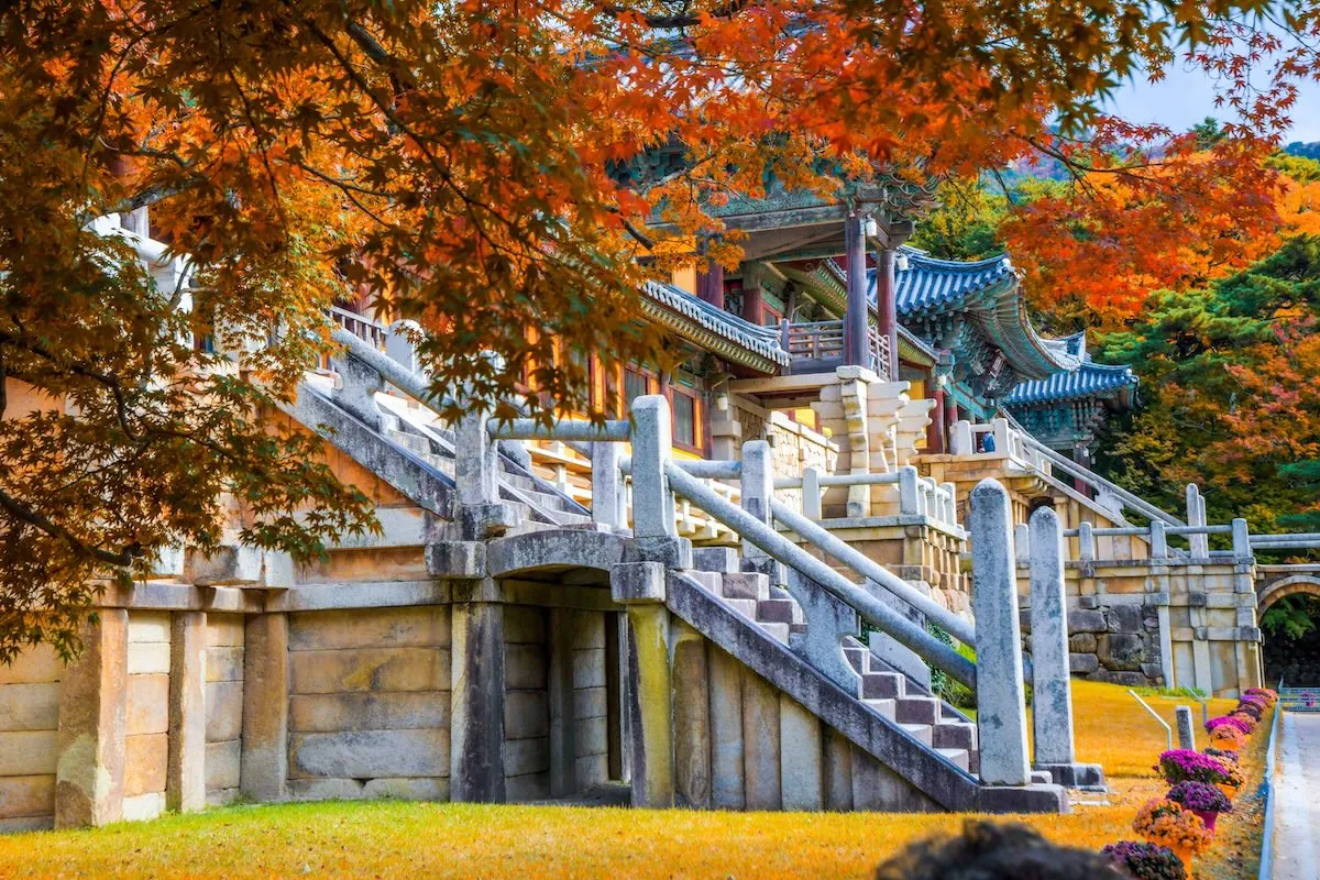 慶州精選一日遊