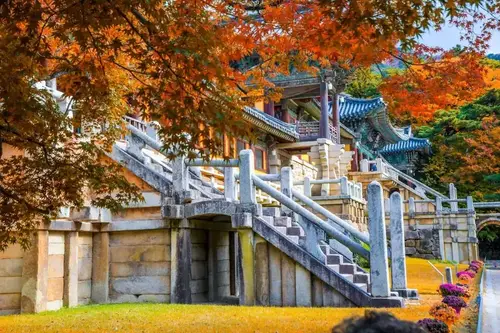 慶州精選一日遊