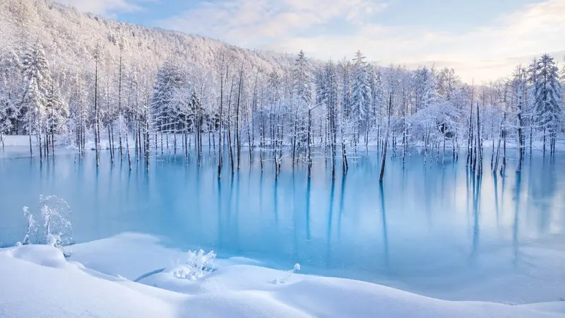 北海道冬季五日包車雪景小樽運河