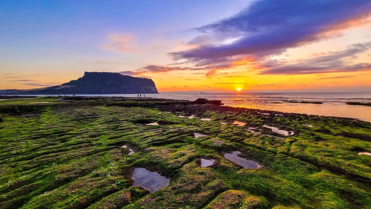 濟州島悠遊五日包車