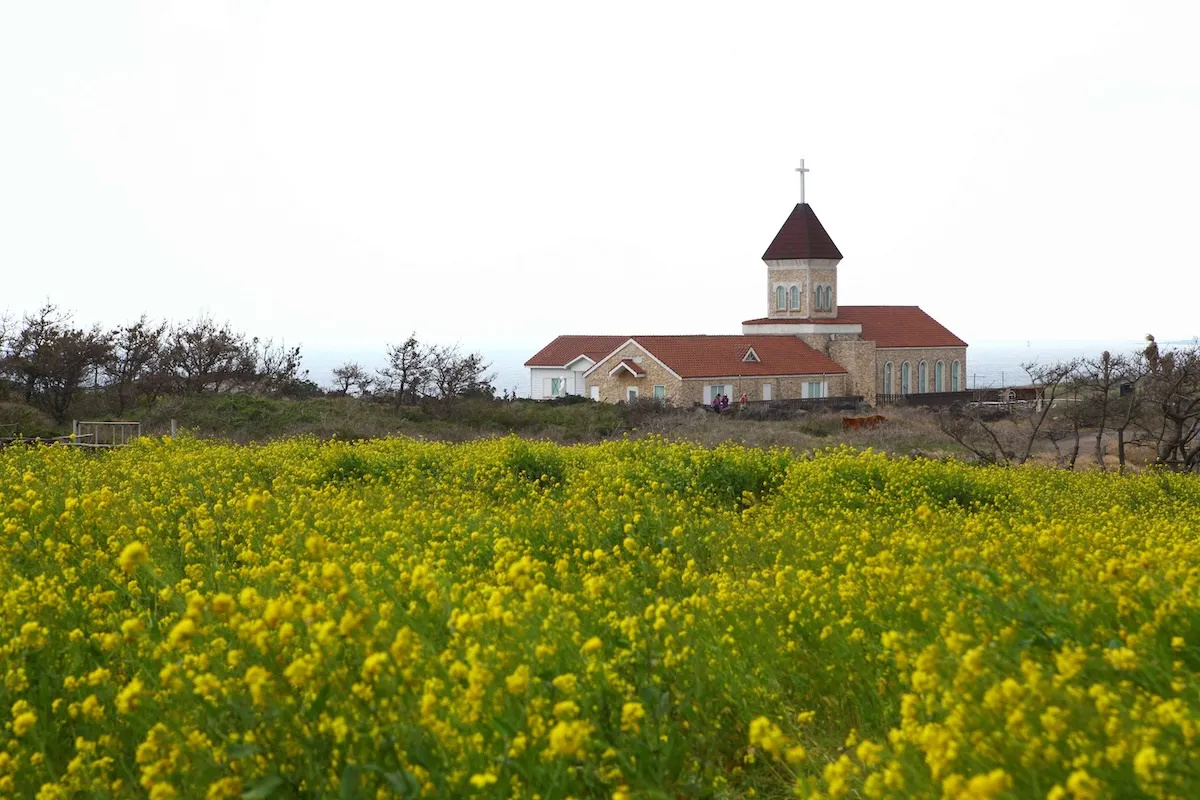 濟州涉地可支海岸步道